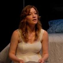 Photo Flash: Chester Theatre Company Presents MADAGASCAR, Now Through 7/6