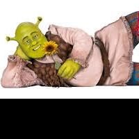 SHREK - DAS MUSICAL nach New York jetzt auch in Deutschland, Österreich und die…