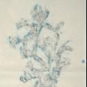 NO TRANSLATION REQUIRED / KEINE UBERSETZUNG BENOTIGT on View at Emory University in…