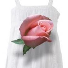 Cygnet Theatre to Host SPRING AWAKENING 'Tweet Night,' 4/11