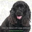 Allen Anderson's A DOG NAMED LEAF Confirms Heroism of Dogs