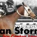 Theatre Seven of Chicago Premieres Lewis's AMERICAN STORM, 11/16 - 12/16