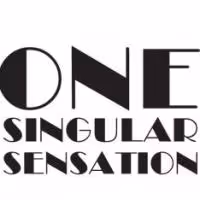 Lyric Theatre Celebrates Golden Anniversary with 'One Singular Sensation' Broadway…