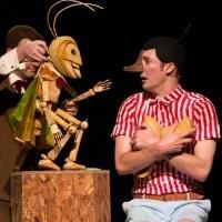 Help Send South Australia's Big Nose to the Big Apple
