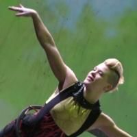 Photo Flash: Elizabeth Streb and More Take Movement to the Extreme in BORN TO FLY