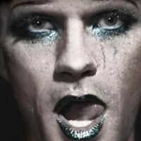 Tickets to 'HEDWIG,' CHICAGO, SNL & More Featured in Vineyard's Online Auction