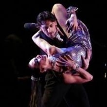 FOREVER TANGO Enters Final Two Weeks of Performances on Broadway