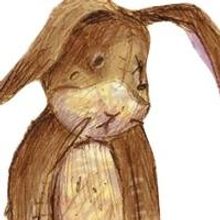 bergenPAC Presents THE VELVETEEN RABBIT, 4/6