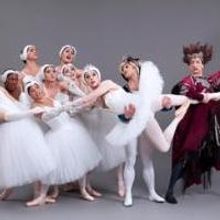 Les Ballets Trockadero Bring 40th Anniversary Tour to Kingsbury Hall Tonight