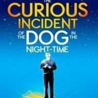 THE CURIOUS INCIDENT OF THE DOG IN THE NIGHT-TIME Begins Performances on Broadway…