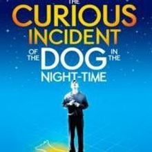 THE CURIOUS INCIDENT OF THE DOG IN THE NIGHT-TIME Begins Performances on Broadway…