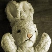 EDINBURGH 2014 - BWW Reviews: WHITE RABBIT RED RABBIT, Assembly George Square…