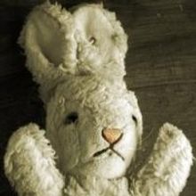 EDINBURGH 2014 - BWW Reviews: WHITE RABBIT RED RABBIT, Assembly George Square Studios