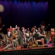 BWW Reviews: CATS at Ocean Professional Theatre Company