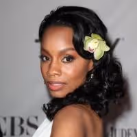 Anika Noni Rose & More Star in Hallmark's WATSONS GO TO BIRMINGHAM Tonight