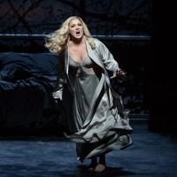 BWW Reviews: Top New York Opera Performances in 2014 -- Ah, Yes, I Remember Them Well Photo