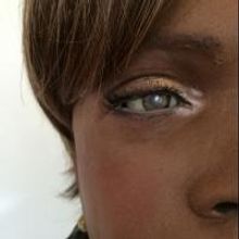 CATF Welcomes Bruce Duncan and Bina48 for Lecture on Artificial Intelligence Today