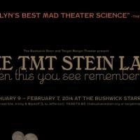 Target Margin Theater Kicks Off 24th Season with 'STEIN LAB' at The Bushwick Starr…