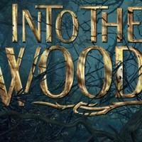 TV: Missed the Starry INTO THE WOODS MOVIE Q&A? Watch it Here!