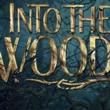 TV: Missed the Starry INTO THE WOODS MOVIE Q&A? Watch it Here!