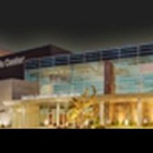 Danza Floricanto Presents 'Fiesta del Día de los Muertos' 10/27