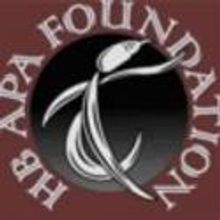 HB APA Recognized by Arts Schools Network as Exemplary School