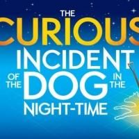 Oliviers Reaction: National Theatre 'Proud' Of CURIOUS INCIDENT Nominations!