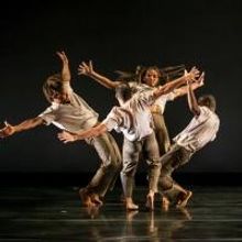 DanceBrazil Comes to The Wallis This Weekend