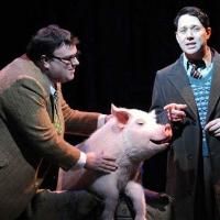 BETTY BLUE EYES to Return for West End Tour, Spring 2014?