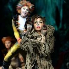Full Cast Announced For Scherzinger-Led Company Of CATS!