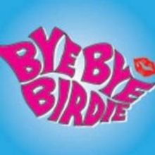 Desert Stages Theatre to Present BYE BYE BIRDIE, 4/11-5/4
