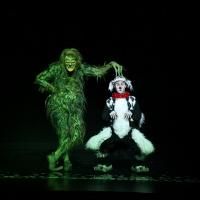 'THE GRINCH' Musical Steals the Holidays at Buell Theatre, Now thru 12/28