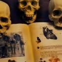BWW Reviews: EVIL DEAD: THE MUSICAL Offers Camp Comedy But Lacks Vocally