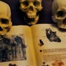 BWW Reviews: EVIL DEAD: THE MUSICAL Offers Camp Comedy But Lacks Vocally