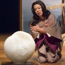 BWW Reviews: HGO's THE MEMORY STONE is Haunting, Gorgeous, and Spellbinding