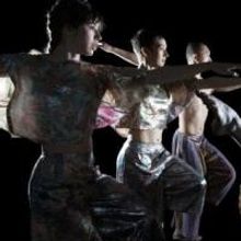 Trisha Brown Dance Company Raises $2.5 Million in Fundraising
