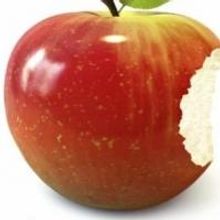 Imagination Theater to Present SNOW WHITE AND THE SEVEN DWARFS in September