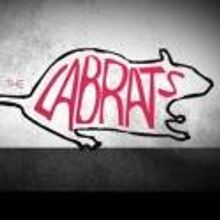 R.A.W. Readings Series and More Highlight LabRats Theatre's 2012-13 Season