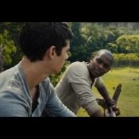 VIDEO: New Clip from THE MAZE RUNNER