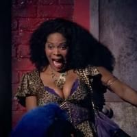 STAGE TUBE: First Look at Highlights of SISTER ACT Second National Tour Video