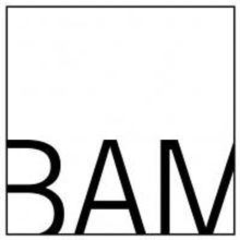 BAM 24 Hour Movie Marathon Raises Funds for Education Today