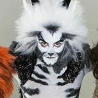 CATS to Play MCCC's Kelsey Theatre in March