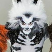 CATS to Play MCCC's Kelsey Theatre in March