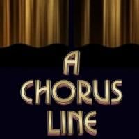 California Music Circus Sets Summer 2014 Season: A CHORUS LINE, SOUTH PACIFIC & More