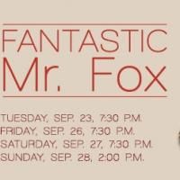 Meet Mr. Porcupine From OPERA San Antonio's Production of FANTASTIC MR. FOX