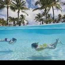 Hawaii Update! The Ritz-Carlton, Kapalua Announces 'Family Adventure Summer Series'…