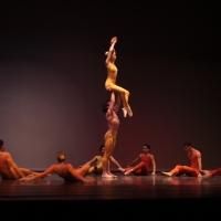 The Atlantic City Ballet Presents VISIONS This Weekend