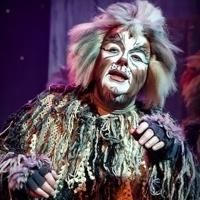 2013 BWW Award Recipient Kelly Briggs Opens in CATS at the Broadway Theatre of…