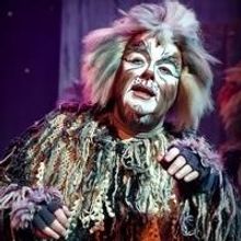 2013 BWW Award Recipient Kelly Briggs Opens in CATS at the Broadway Theatre of Pitman