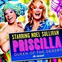 PRISCILLA QUEEN OF THE DESERT to Play Lyceum Theatre, 29 Oct - 2 Nov